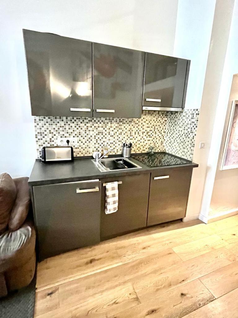 Duplex Patio Wilson Apartment นีซ ภายนอก รูปภาพ
