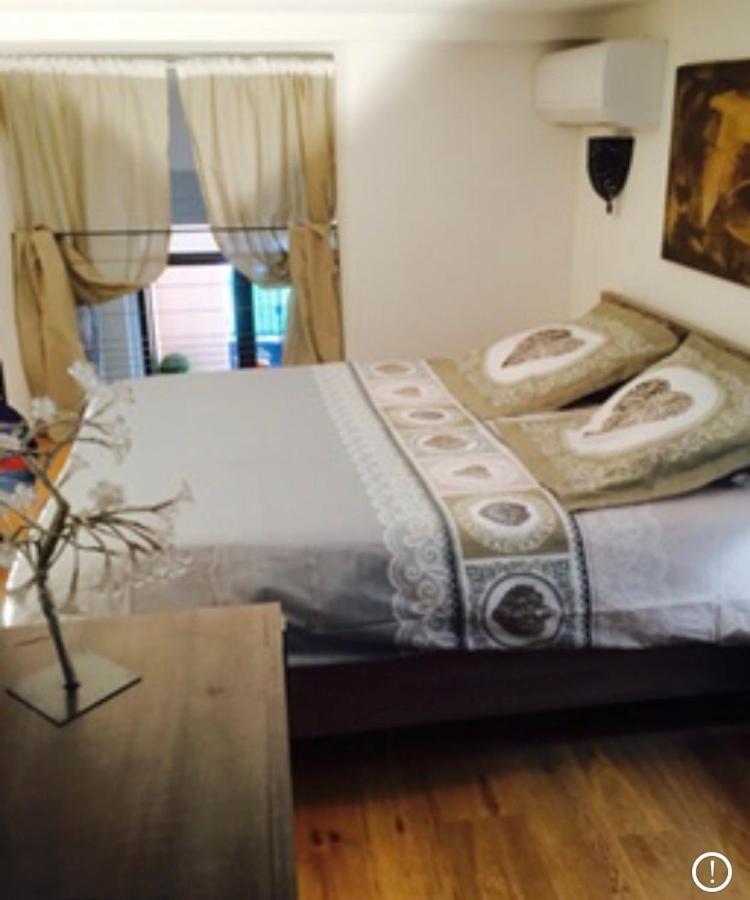 Duplex Patio Wilson Apartment นีซ ภายนอก รูปภาพ